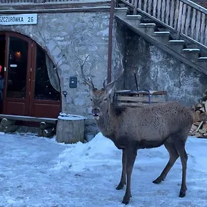 Kwatera prywatna Jaszczurówka 26, Zakopane